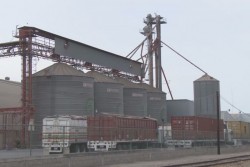 Industria Harinera obtiene utilidades millonarias