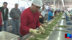 Inauguraron instalaciones para jornaleros agrícolas