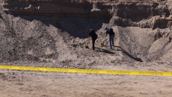 Fueron 4 osamentas las encontradas en culiacancito