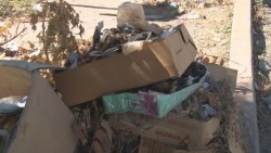 Basura lleva días