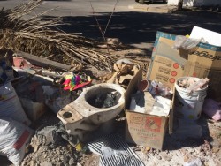Ramas secas, basura y hasta una tasa del baño en Blvd. Constelaciones