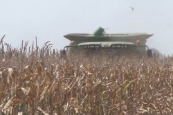 Se pagará el adeudo total a productores de Sinaloa