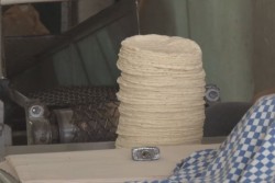 Cierra PROFECO cuatro tortillerías por vender a 16 pesos el kilo
