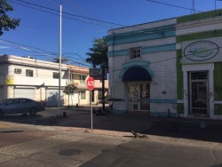 Se impacta un automóvil contra barandal preventivo y lo tumba