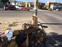 Sigue la basura en Cañadas