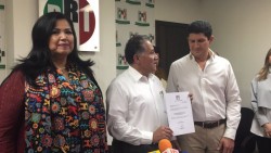 Deja Rosa Elena Millán la Presidencia del PRI en Sinaloa