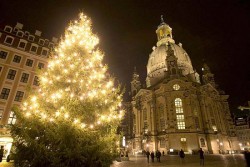 ¿Sabes de donde viene la tradición del Árbol de Navidad?