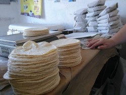 Aumenta venta de tortillas con festejos decembrinos