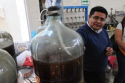La U.A.S. construirá la primera biorrefinería en el noroeste del país