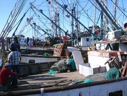 Pescadores temerosos de salir a altamar