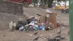 Infonavit Cañanda con graves problemas de basura