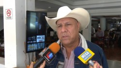 Productores del carrizo sembraran maíz