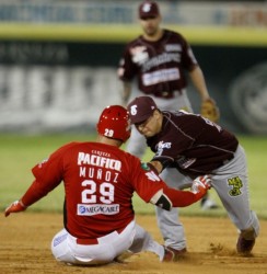 Sin refuerzos Dominicanos  a Tomateros