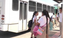 Transporte urbano redujo 60% tiempo de espera
