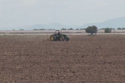 Exigirán productores un subisidio para todos los agricultores