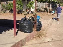 No pasa el camión de la basura por El Mirador