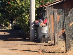 No pasa el camión de la basura en Bacurimi