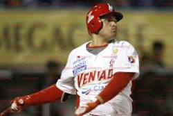 Venados en la "lona".
