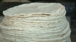 Se estima otro aumento al kilo de Tortilla