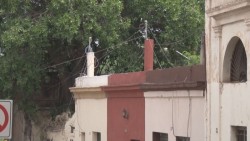 Se requieren 50 mdp para mejorar Centro Histórico