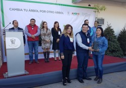 Invitan a participar en el programa cambia tu árbol por otro árbol