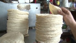 El kilo de tortilla podría alcanzar los $17.00 pesos