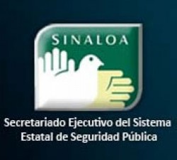 Emiten convocatoria para ocupar el  Secretariado  Ejecutivo del Sistema Estatal de Seguridad Pública