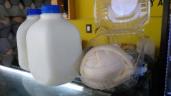 Aumenta precio de la leche y el queso