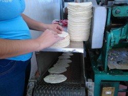 Sube el kilo de tortilla a $17.00