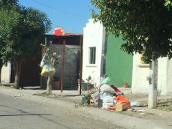 Desde hace 5 días no pasa el camión de la basura