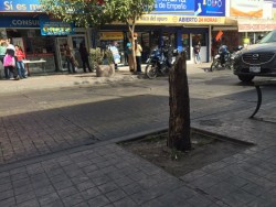 Infraestructura urbana sigue deteriorándose en el primer cuadro de la ciudad