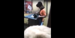 VIDEO: Empleado de veterinaria en Paraguay golpea a perrito