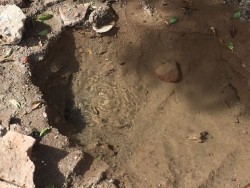 Fuerte fuga de agua por Alfonso  Cravioto, en colonia Pemex