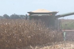Productores agrícolas han quedado rezagados de protestas