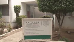 Se reunirán productores de delegado de SAGARPA