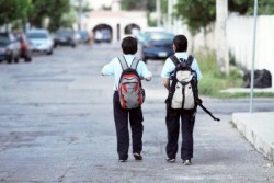 Importante analizar "Operativo Mochila": Tere Gallo