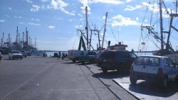 Semivacío el muelle del parque Bonfil