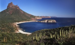 Ecología limpiará la playa Piedras Pintas