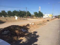 Camellón lleno de basura por Bulevar Elbert