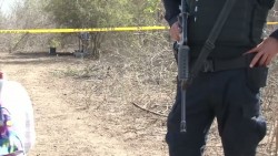 Autoridades carecen de estrategias para brindar seguridad en el puerto: Memo Romero