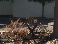 Limpian un poco el Boulevard Constelaciones