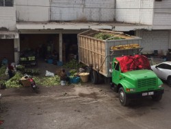 Buscan modernizar al Mercado de Abastos