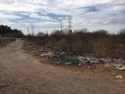 Piden limpieza en lote baldío en Fraccionamiento San Benito