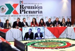 Propone PRI eliminar diputaciones plurinominales