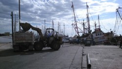 Gran movimiento en el Parque Bonfill...pero no de barcos