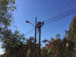 Lámparas sin funcionar en Las Flores