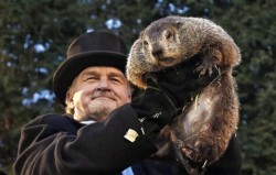 Marmota predice invierno largo en Estados Unidos