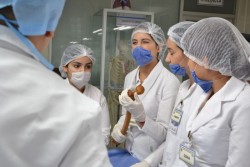 Convoca  al Curso-Taller Inventario y Estilo de Aprendizaje