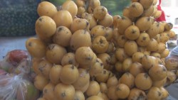 Las aguamas tienen poder curativo