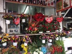 Se prepararan comerciantes con flores y detalles para el 14 de febrero